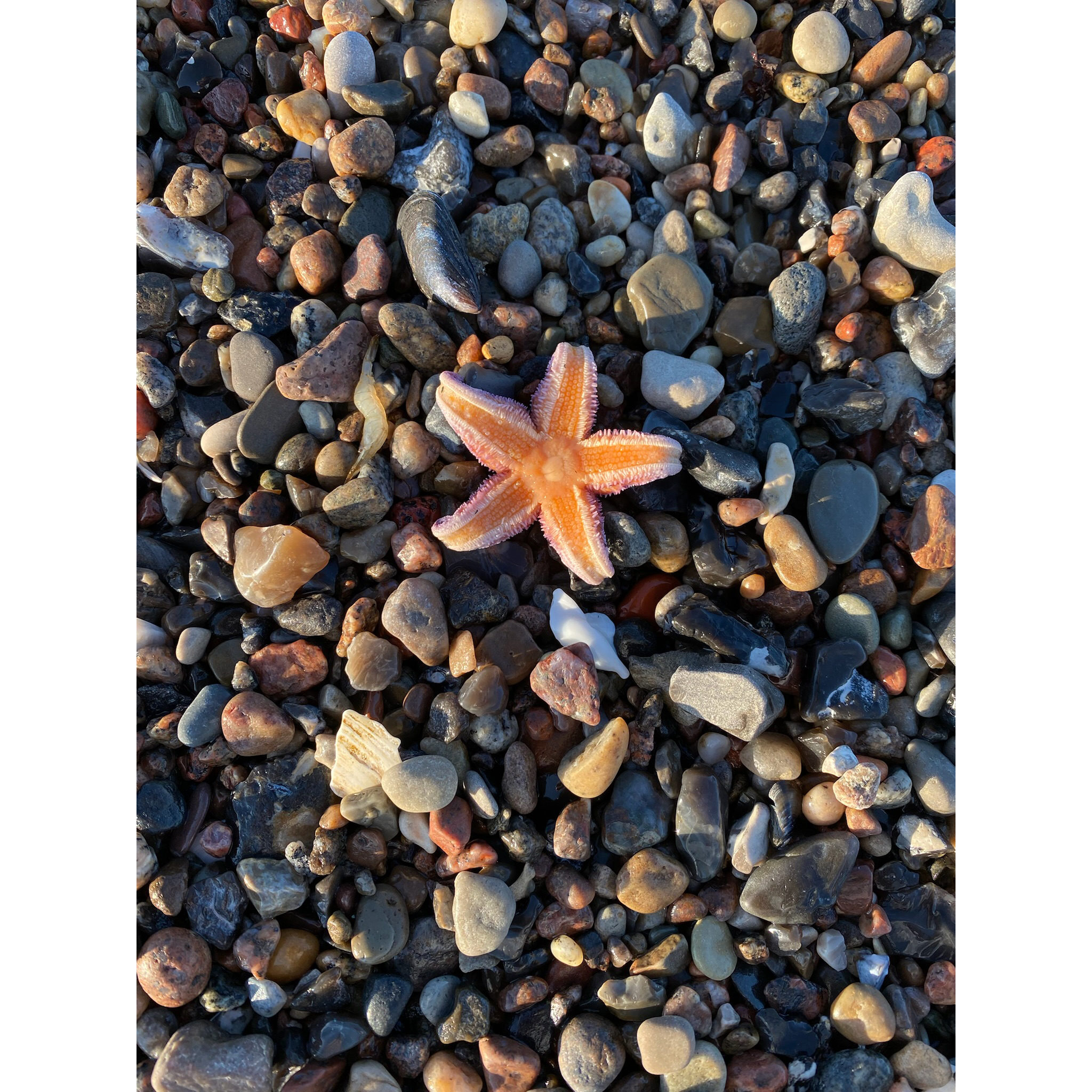 ©Seaglass_Fotografie_01