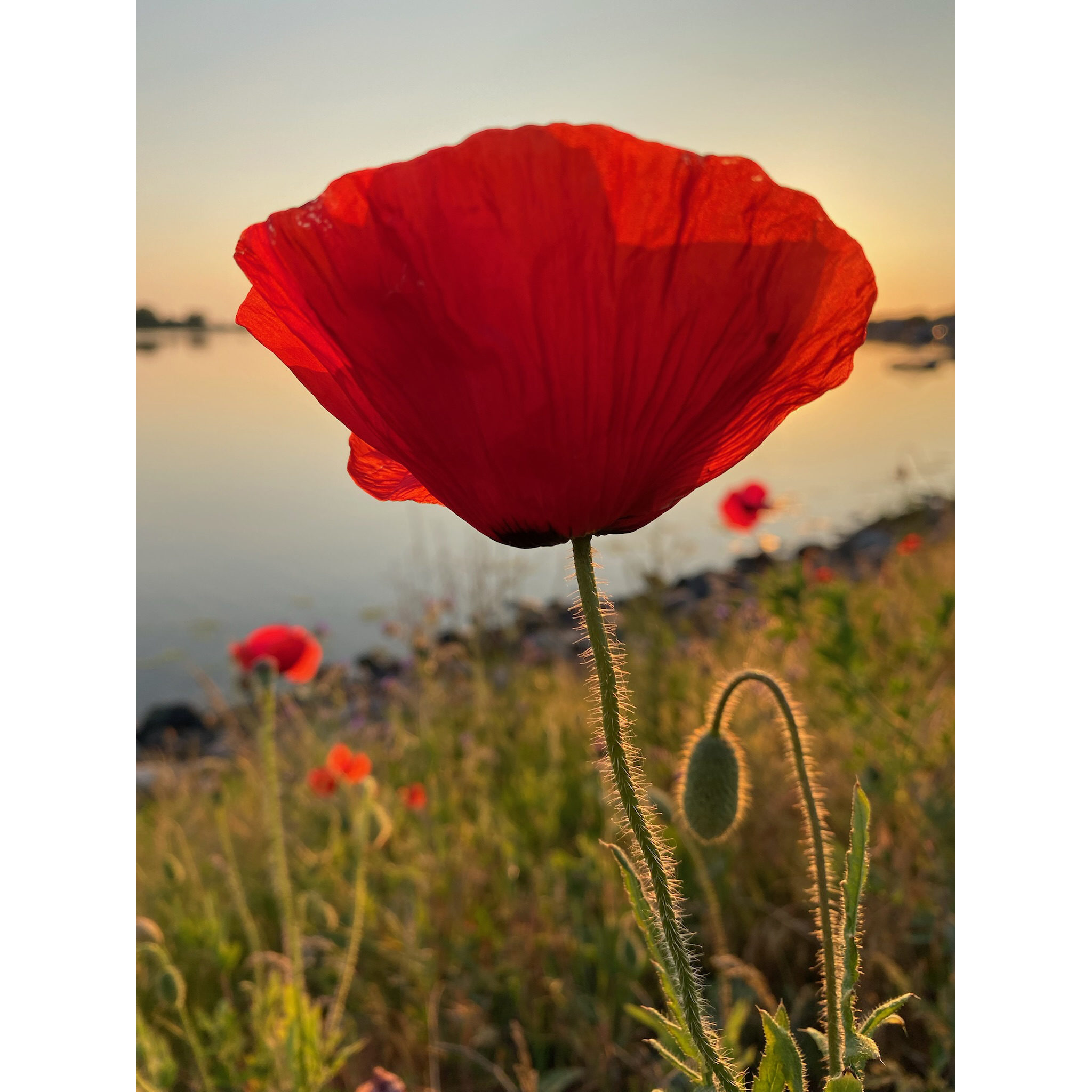©Seaglass_Fotografie_06